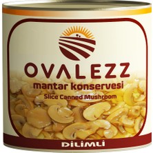 Mantar Konserve Dilimli 3 kg