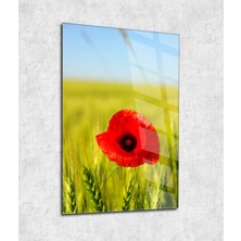Dream Wall Art Dream | Cam Tablo