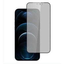 YGT Iphone 12-12 Pro Mat Privacy Nano