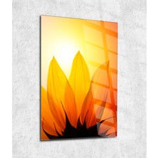 Dream Wall Art Dream | Cam Tablo