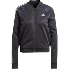 Adidas Sportswear IX1106 Teamsport Track Suit