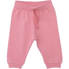 HelloBaby HelloBaby Basic Kız Az Şardonlu Eşofman Alt Kız Bebek