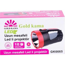 Globaltech GT-7775 Ledli Projektör