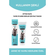 Vitpaw Kitten Paste 100 Gr.(Yavru & Anne Kedi Direnç Sistemi Destekleyici Multivitamin Macun)