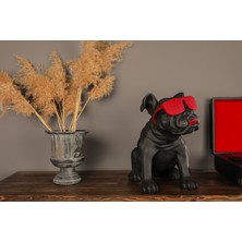 Gözlüklü Buldog Köpek