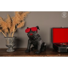 Gözlüklü Buldog Köpek