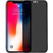 Firo Iphone 11 Pro Max/xs Max Uyumlu Hayalet Ekran Koruyucu Antıstatıc