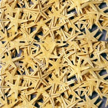 Naturel Deniz Yıldızı Minik Boy 0.5  cm  -1.5  cm  (100 Adet)  Natural