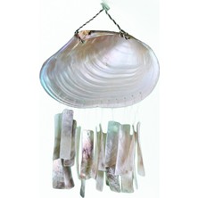 Kabıbı Duvar Dekoru-Placuna