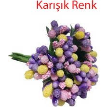 Çiçek  Akrilik Iri Cipso  Görünümünde Pıtırcık (144 Adet)  Karışık Renk