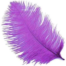 Tüy Organizasyon Için 65  cm  x 70  cm   Mor