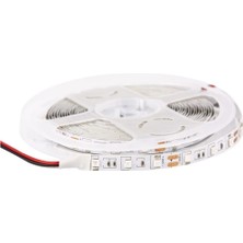 Bolled 24 V Dış Mekan Yeşil Şerit LED 5mt