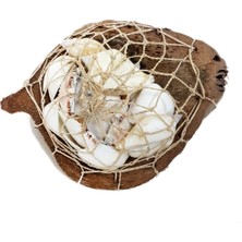 Coco Sepet Kabuk Beyaz Kabuk Yıldızlı