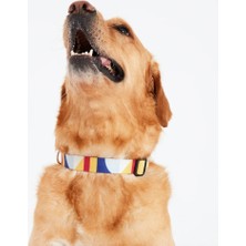 Dog.ist Geometric Premium Sürdürülebilir Küçük ve Büyük Irk Köpek Boyun Tasması