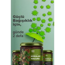 Iluvia Kozalak Macunu Çam Kozalağı Macunu Keçiboynuzu, Karamürver, Zencefil, Zerdeçal 240GR