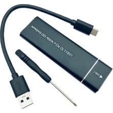 Soylu Elektronik USB 3.1 Type C To Pcı-E M.2 Nvme SSD Harici Taşınabilir Kutu