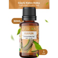 Kavun Esansiyel Uçucu Koku Yağı Ortam Kokusu Doğal Yağ Sihirli Küre Hobi Esansı 30ml