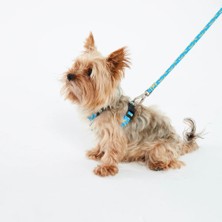 Dog.ist Banana Dream Premium Sürdürülebilir Küçük ve Büyük Irk Köpek Gezdirme Kayışı