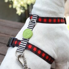 Dog.ist Plaid Premium Sürdürülebilir Küçük Irk H Tipi Köpek Göğüs Tasması
