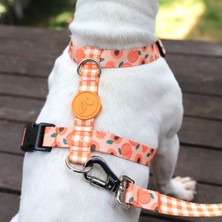 Dog.ist Peachy Premium Sürdürülebilir Küçük ve Orta Irk H Tipi Köpek Göğüs Tasması