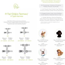 Dog.ist Peachy Premium Sürdürülebilir Küçük ve Orta Irk H Tipi Köpek Göğüs Tasması