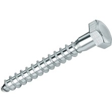 Çankaya Trifon Vida (Adetli) (Ölçülü