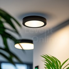 Maxled MX-1048G - 6W 3000K Gün Işığı | Siyah Kasa Sıva Üstü Yuvarlak LED Panel