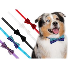 Show Tech Simli Dickie Bow Köpek Süs Papyonu 10 Parça