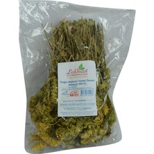 Colezium Adaçayı Akdeniz Yöresi Demet Doğal Dağ Çayı 100 gr Paket