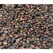 Derya Eren Kızılcık Kurusu (Cornus Mas) 250G