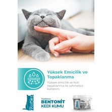 Zenicat Aktif Karbonlu Kedi Kumu Ince Taneli Doğal Bentonit 5 Lt