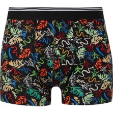 DeFacto Regular Fit Hayvan Baskılı 3'lü Boxer E0035AX24WN