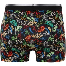 DeFacto Regular Fit Hayvan Baskılı 3'lü Boxer E0035AX24WN