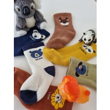 Olay Socks 6 Çift Havlu Sevimli Hayvan Desenli Pamuk Bebek Kışlık Çorap