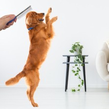 Alfa Life Marketing Kedi Köpek Tüy Açıcı Tarak