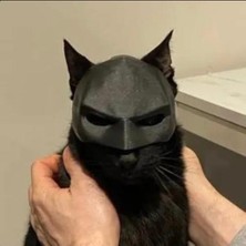 All Tasarım Kedi Maskesi-Batman Kedi Maskesi-Kedi Batman Maskesi-All Tasarım