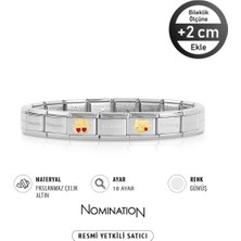 Nomination Italy Composable 18K Altın Sarılan Kediler & 18K Altın Öpücük Kedi Paslanmaz Çelik Silver Sılver