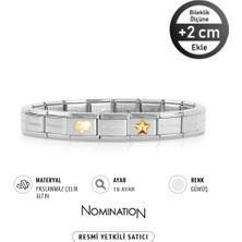 Nomination Italy Composable 18K Altın Kalpten Fırlayan Yıldızlar & Dolgulu Yıldız Paslanmaz Çelik Silver Sılver