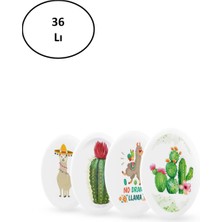 Silka Silgi Lama-Cactus Serisi Sg.22 36'lı