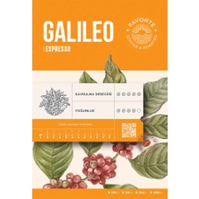 Favorte Coffee Galileo Espresso Kahve 250 gr