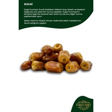Medine Sugai Lüks Medine Hurma - Yeni Mahsül - 10 kg