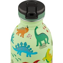 24 Bottles Kids Bottle Jurassic Friends Matara 250 ml