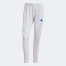 Adidas IY4515 M Tıro Ntpk Pt