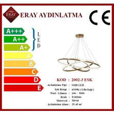 Eray Aydınlatma 2002-3 Eskitme LED Avize