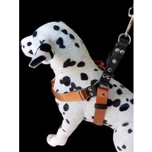 Balkonda Köpek göğüs tasması kolon hakiki deri kalınlık:2,5mm genişlik:3cm göğüs ölçüsü:60-100cm ayarlamalı dog harness GT5-25