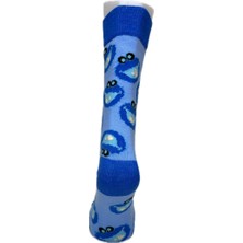 Look Socks Desenli Unisex Çorap