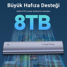 VegGieg 10GBPS USB 3.1 Gen2 M.2 Sata Ngff Nvme SSD Disk Kutusu