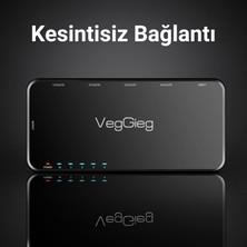 VegGieg 4K HDMI 1 Giriş 4 Çıkış Görüntü Çoklayıcı Splitter