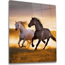 Decorita Cam Tablo | Koşan Atlar |
