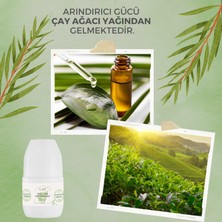 Lar Herbal Alüminyumsuz Parabensiz Vegan Unisex Temiz Kokulu Roll-on Deodorant 3lü Avantajlı Paket 50ml